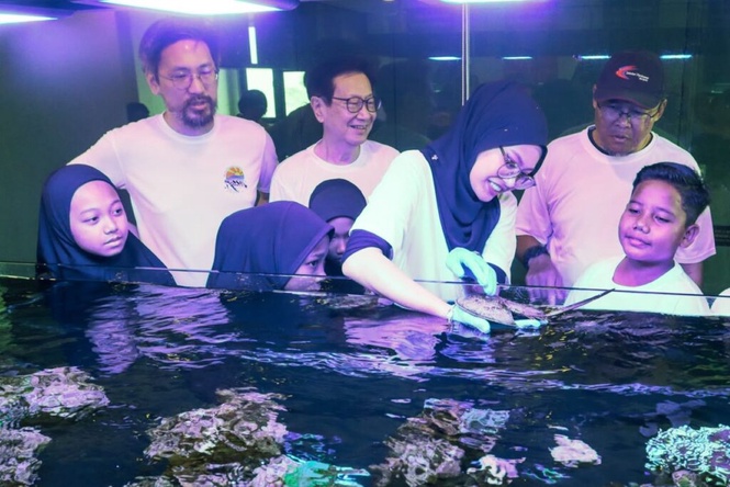 Image from: Pemilik ikan hiasan asing ingkar boleh didenda RM100,000