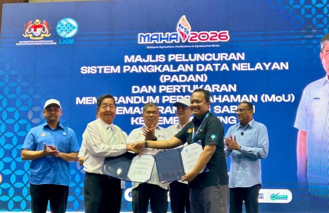 Image from: Buggy percuma untuk awam, berbayar untuk korporat