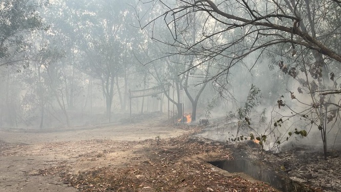 Image from: Kebakaran hutan di Bandar 16 Sierra
