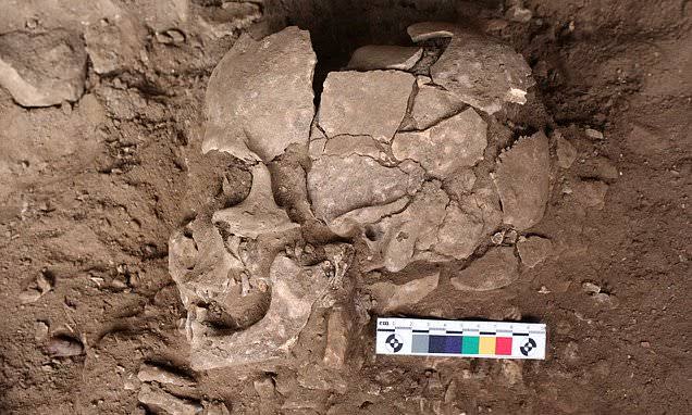 Image from: Pengguna dadah tertua dunia dikesan di Indonesia