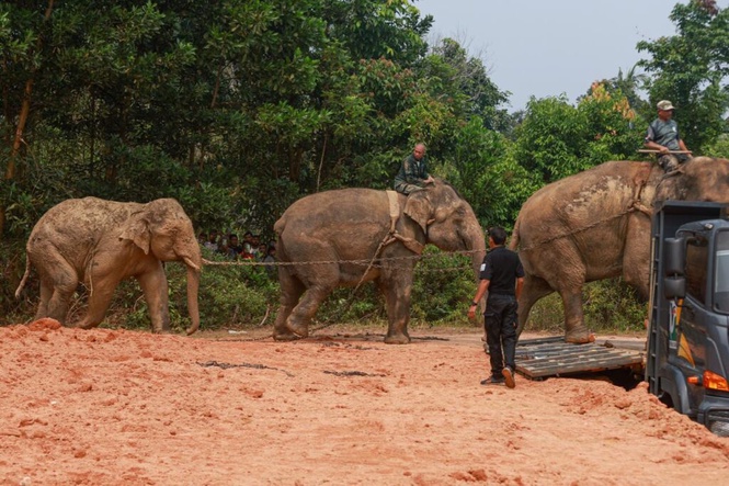 Image from: Sanum, Abot ambil masa tiga jam pujuk Awang Kolam
