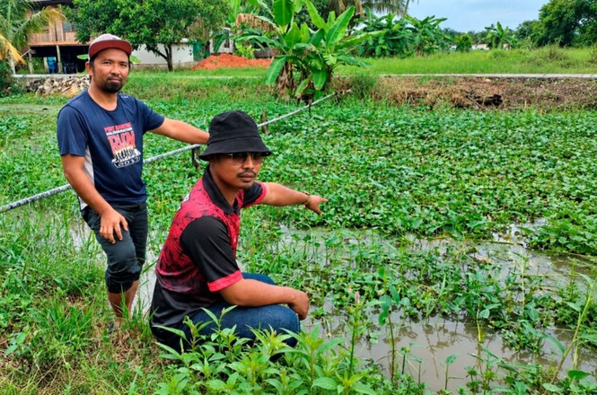 Image from: Masalah parit, 40 hektar sawah terjejas