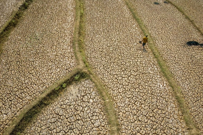 Image from: Super El Nino bakal jadikan 2026 tahun paling panas dalam sejarah