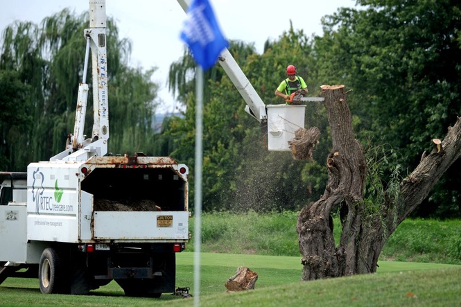 Image from: 500 pokok ditebang, projek padang golf Trump disekat