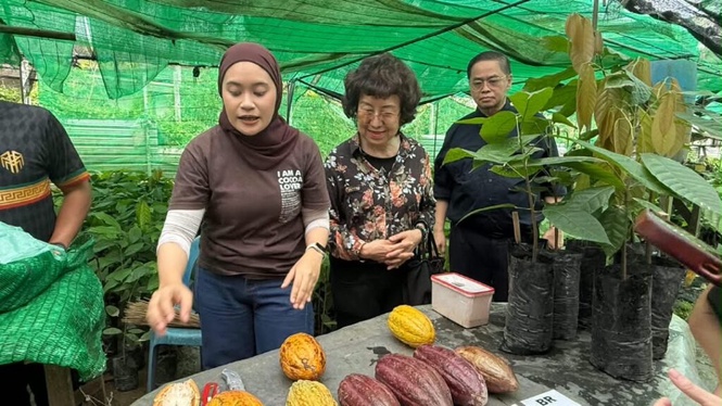 Image from: Teck Guan Cocoa Village permata tersembunyi ekopelancongan Sabah