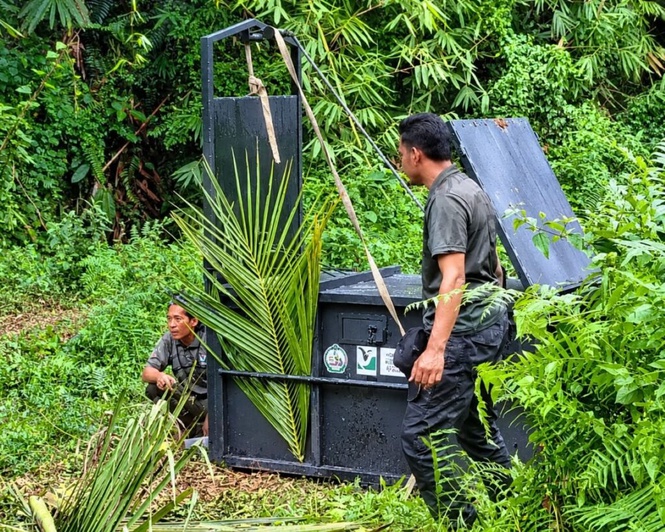 Image from: Harimau terkam lembu, 500 penduduk Kuala Krai cemas