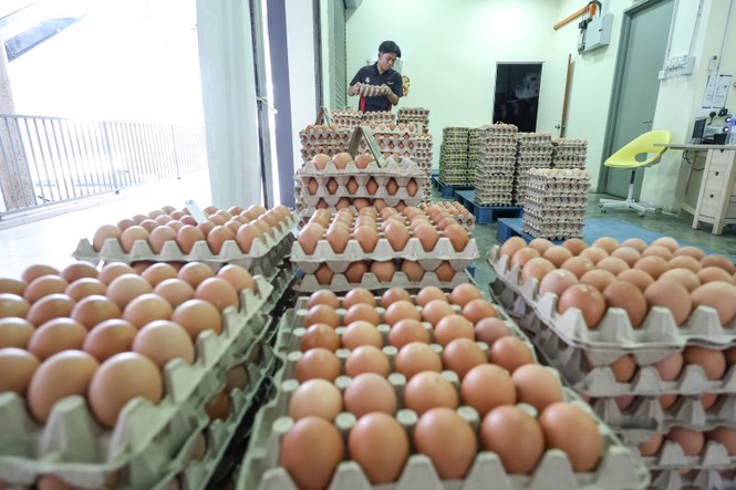 Image from: Harga telur dijangka terus naik berikutan gangguan cuaca