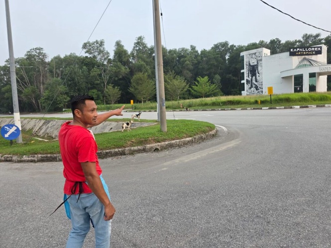 Image from: Puluhan anjing liar ancam penduduk Seri Iskandar