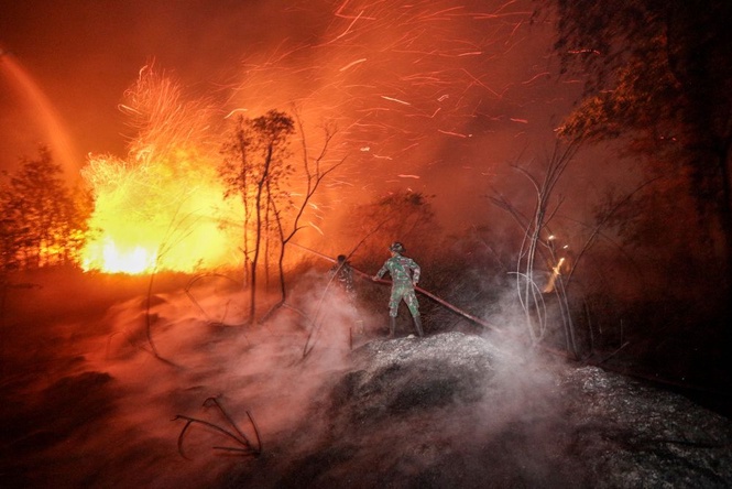 Image from: 26 syarikat kaitan dengan Malaysia terlibat kebakaran hutan Indonesia
