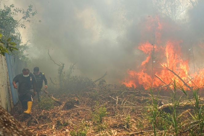 Image from: Lebih 3,000 hektar hutan masih terbakar di Kalimantan