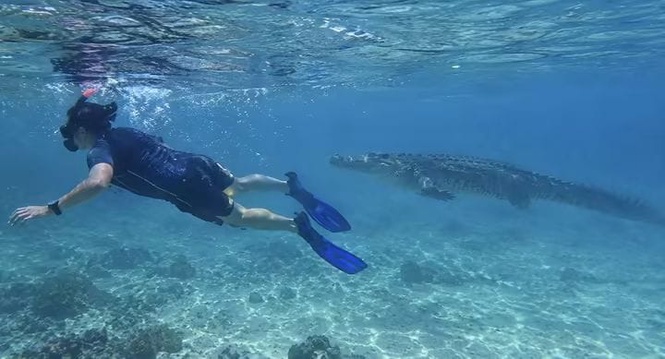 Image from: Snorkeling bersendirian tidak dibenarkan susulan penampakan buaya