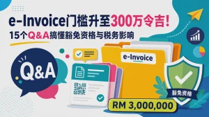 e-Invoice FAQ 3 Million Threshold